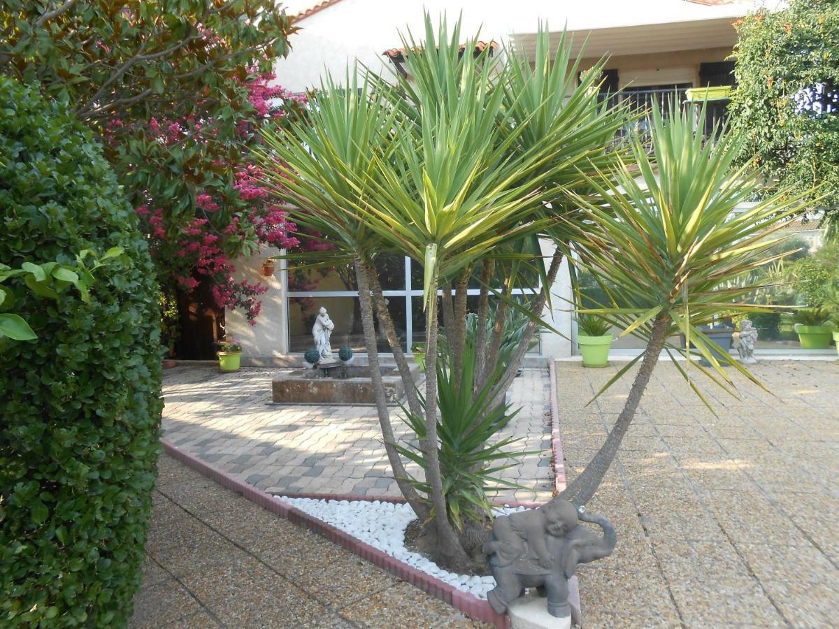 Maison Monica Exeptionnel-Jardin Paysage Zen Coursan Eksteriør bilde